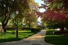 Novodevichy Convent in Moscow
