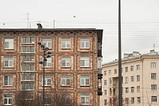 Garden in Ivanovo career, St. Petersburg, 2019