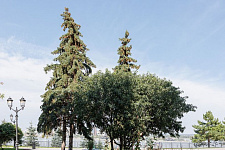 fuksovskiy-sad-kazan-2024