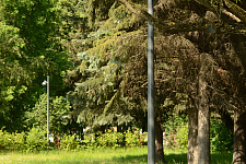 Lyubashinsky Garden, St. Petersburg 2025