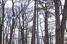 "Rumyantsev Garden" in St. Petersburg