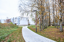 leningradskaya-oblast-luzhskiy-rayon-p-voloshovo-ul-novaya-2022g