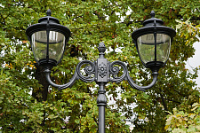 Vyborg Garden, 2019