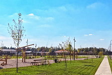 kottedzhnye-poselki-eli-elizarovo-darino-park-mkottedzhnye-poselki-v-istrinskom-rayone-mo-2024-2025-