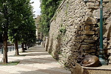 IMPROVEMENTS In KISLOVODSK, 2020