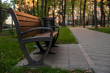 Landscaping lime Park in Moscow, 2018