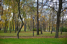 Park "Kurakina Dacha" in St. Petersburg