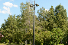 Garden "Neva", St. Petersburg 2025