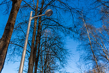 Central City Park, Korolev, 2020