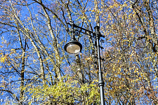 Lantern 4.T27.2.58.V12-02/2