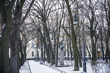 "Rumyantsev Garden" in St. Petersburg