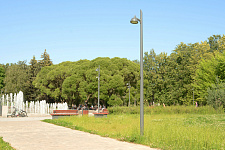 Lyubashinsky Garden, St. Petersburg 2025