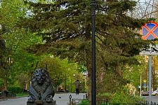 on streets improvement program and parks, Rostov-on-Don