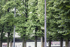 Garden "Olympia", St. Petersburg, 2016
