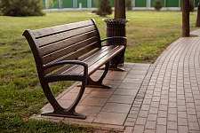 Landscaping lime Park in Moscow, 2018