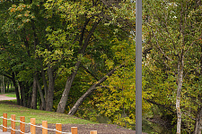 Ilyinsky Garden, 2019