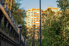 Landscaping lime Park in Moscow, 2018