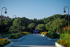 Lilac Garden. 2015