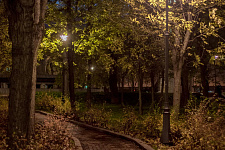 Park "Maiden's Field" in Moscow, 2017