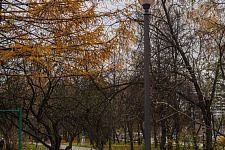 Square Anna Herman in Moscow