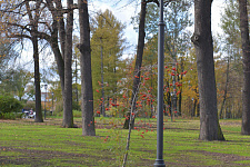 Park "Kurakina Dacha" in St. Petersburg