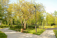 Nameless garden on the corner of Revolution Highway and Kommuny Street, St. Petersburg 2024