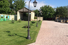 New lights for vineyards in Anapa