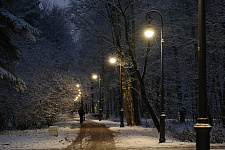 aleksandrino-park-g-sankt-peterburg-2025-g