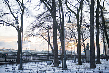 "Rumyantsev Garden" in St. Petersburg