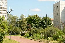 Garden "Neva", St. Petersburg 2025