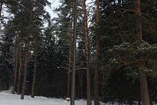 Lighting a gated community in the Moscow region