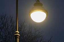 aleksandrino-park-g-sankt-peterburg-2025-g
