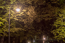 Park "Maiden's Field" in Moscow, 2017