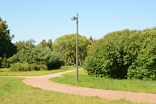 Lyubashinsky Garden, St. Petersburg 2025