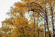 Park "Maiden's Field" in Moscow, 2017