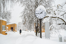 Garden of the Future, Moscow, 2018