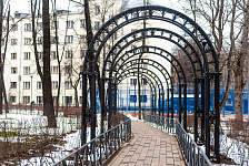 Pergola №5