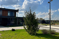 kottedzhnye-poselki-eli-elizarovo-darino-park-mkottedzhnye-poselki-v-istrinskom-rayone-mo-2024-2025-