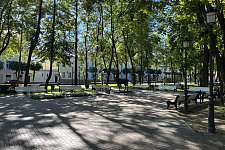 sad-blone-smolensk-2024
