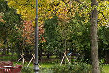Vyborg Garden, 2019