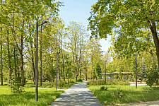 Nameless garden on the corner of Revolution Highway and Kommuny Street, St. Petersburg 2024