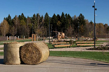 kottedzhnye-poselki-eli-elizarovo-darino-park-mkottedzhnye-poselki-v-istrinskom-rayone-mo-2024-2025-
