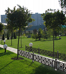 Fence Gr.08
