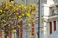Landscaping areas at three stations, as well as Kiev and Paveletskaya Station, Moscow