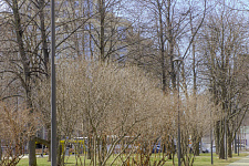 Square on the street Gastello, Saint Petersburg, 2021