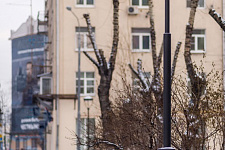 Gross Str., Moscow. 2016