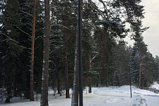 Lighting a gated community in the Moscow region