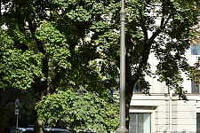 Moscow Garden, Saint Petersburg, 2024