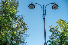 Landscaping lime Park in Moscow, 2018