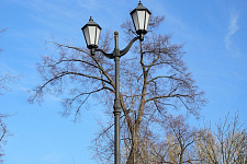 Improvement, Kronstadt